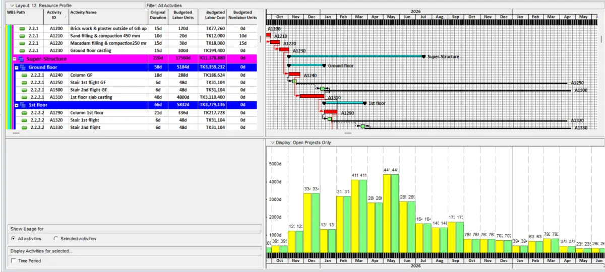  create gantt chart, wbs and work schedule with primavera p6 or ms project