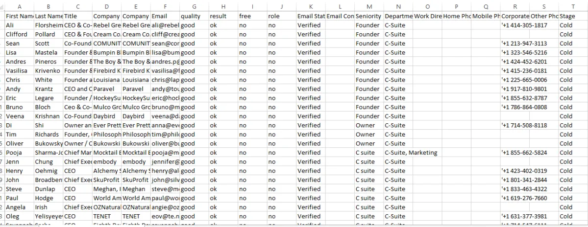 Do Apollo.io Export, ZoomInfo Leads and verified Email service