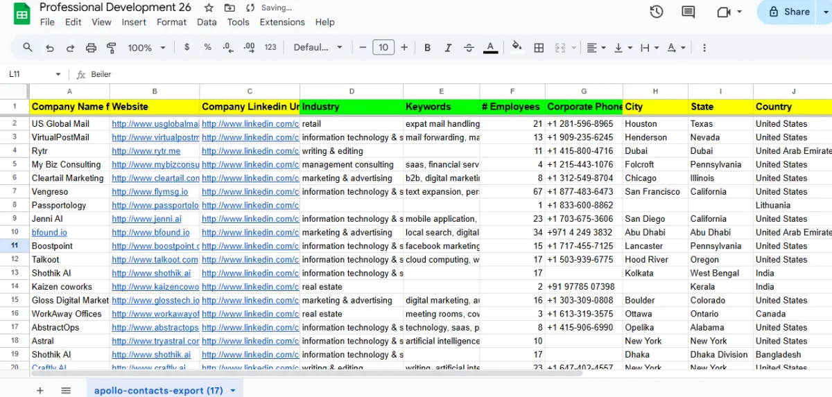 Professional B2B & LinkedIn Lead Generation Service – 100% Verified Leads