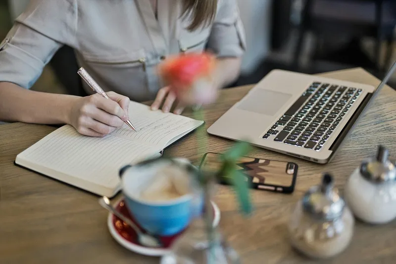 I will write SEO based articles and blogs
