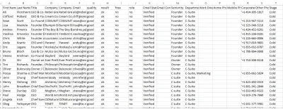 Do Apollo.io Export, ZoomInfo Leads and verified Email service