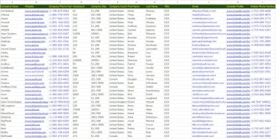 do targeted Mobile & Cell Number Leads for B2B Growth