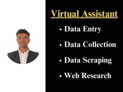 do perfect data entry, web research, data mining