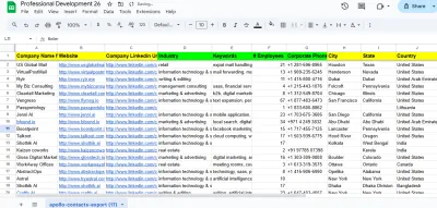 Professional B2B & LinkedIn Lead Generation Service – 100% Verified Leads