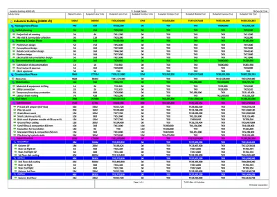  create gantt chart, wbs and work schedule with primavera p6 or ms project