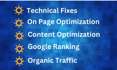 fix on page seo for your wordpress website