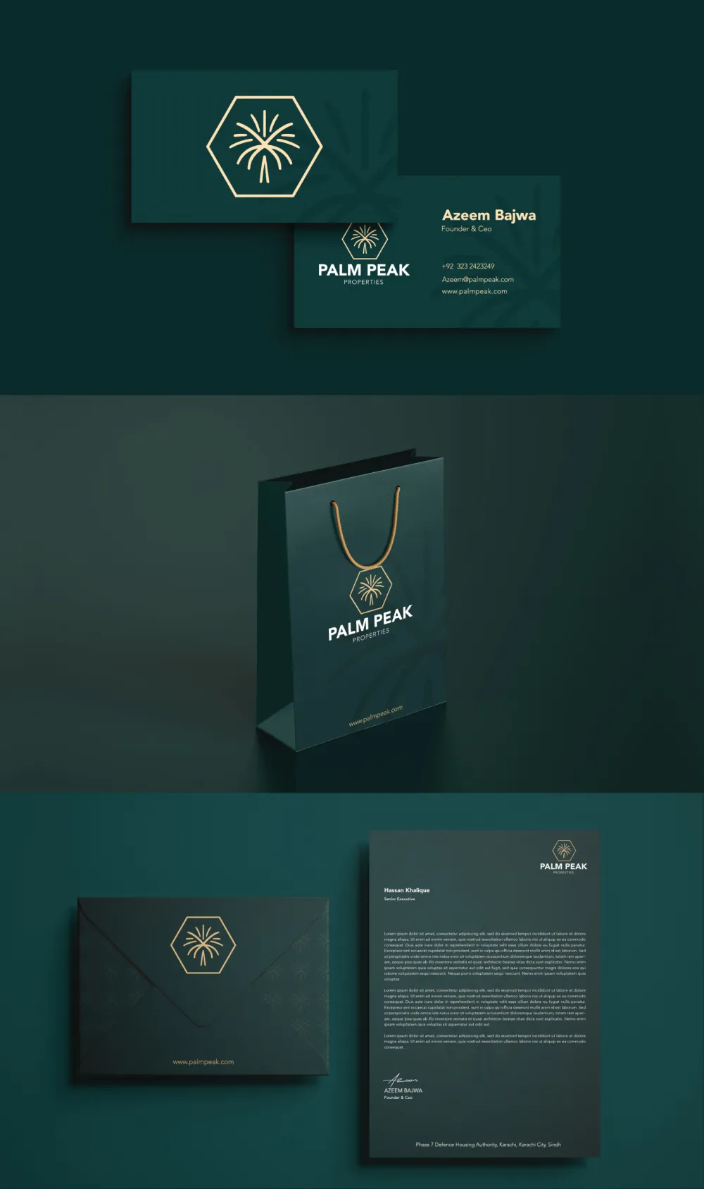 Palm Peak Brand Identity