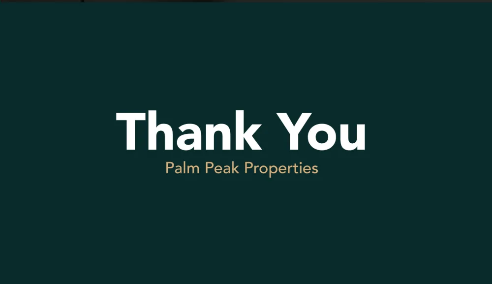 Palm Peak Brand Identity
