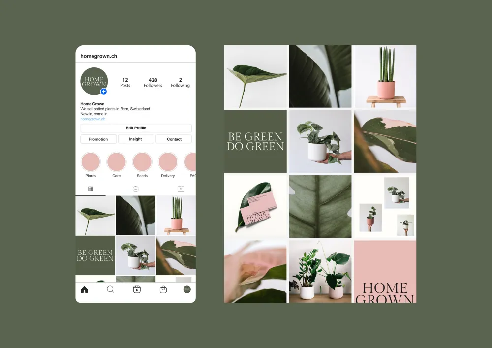 Social Media Account Creation & Optimization | Professional Setup