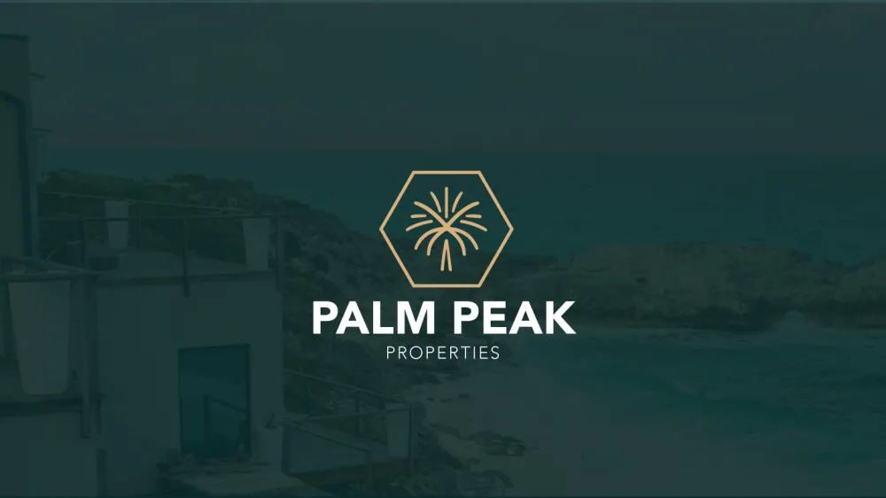Palm Peak Brand Identity