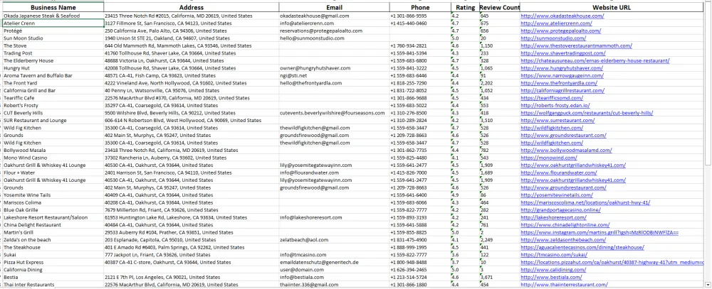 Google Map Data Scraping