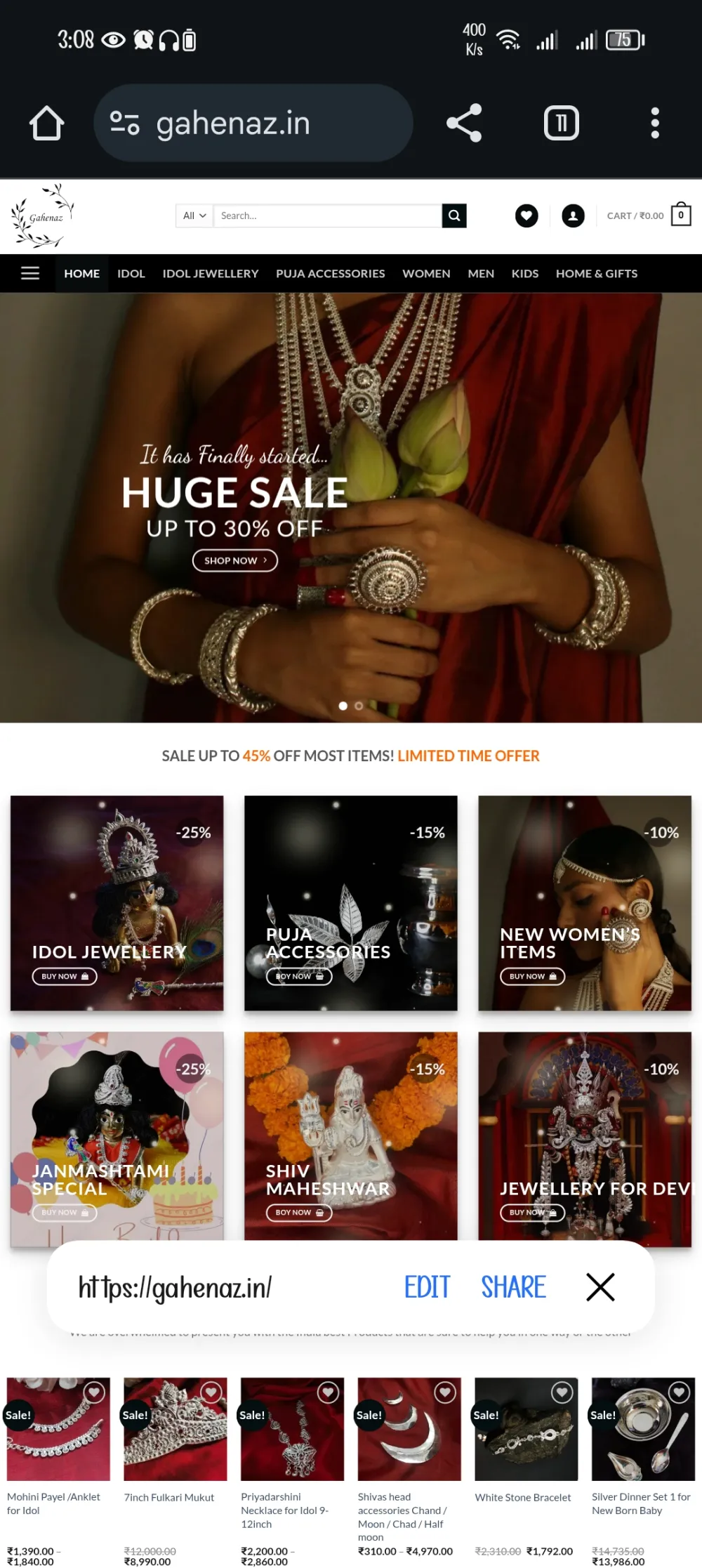 Wordpress theme installations and Customization 